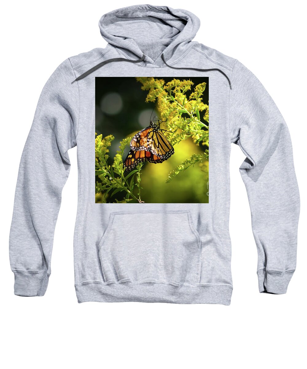 Monarch Butterfly Sweatshirt featuring the photograph Summer Sojourn by Rehna George
