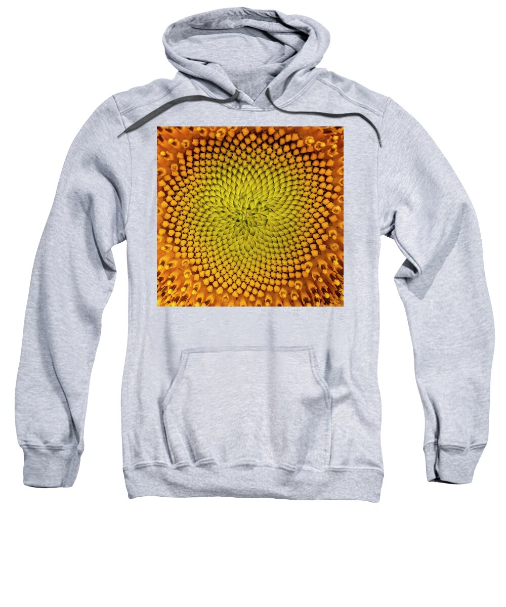 Pattern Sweatshirt featuring the photograph Sunflower Abstract by Karen Rispin