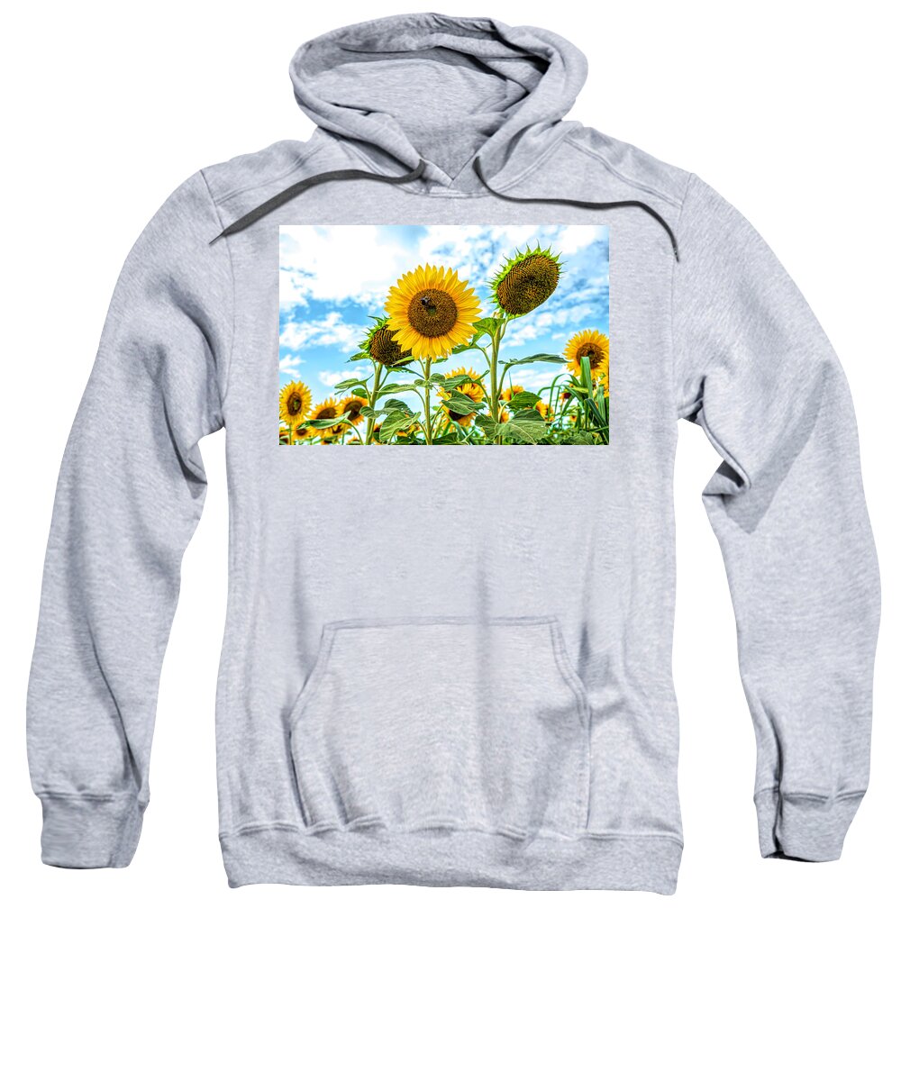 Sunflowers Sweatshirt featuring the photograph Sunflower Field by Sandi Kroll