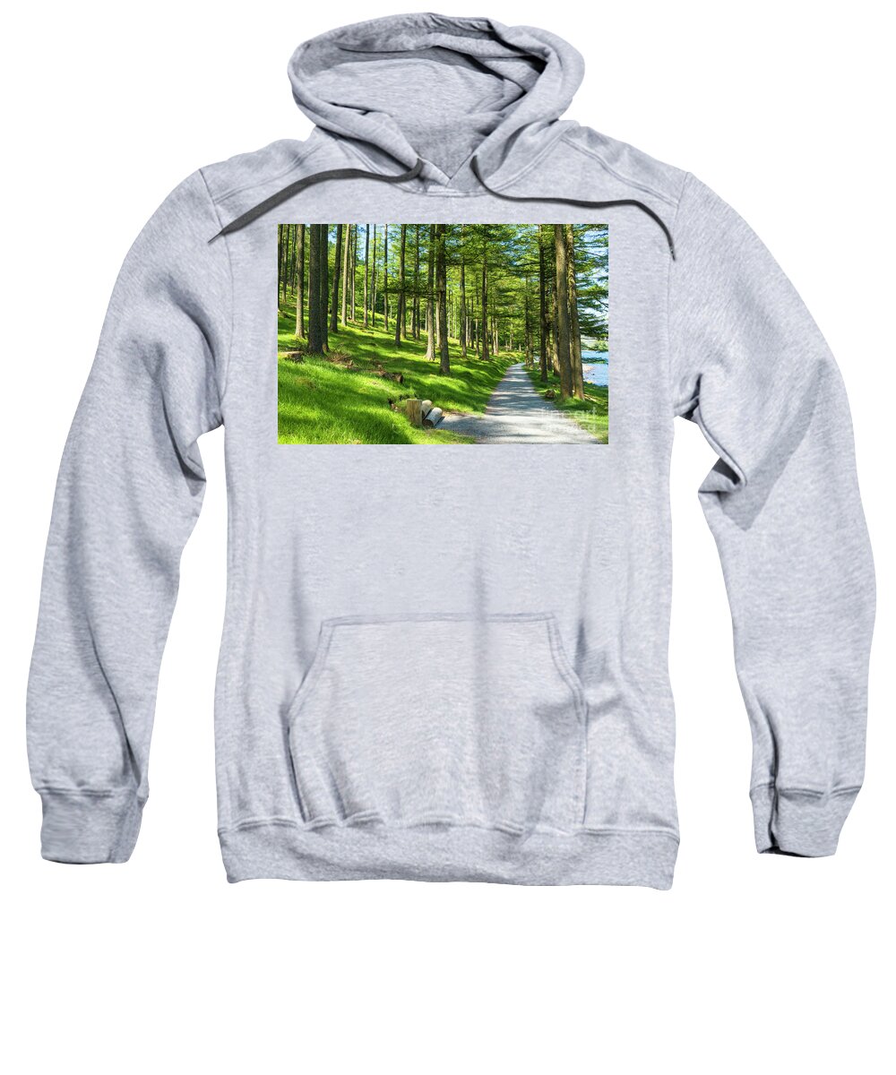Cumbria Sweatshirt featuring the photograph Sunlight through Burtness Wood, English Lake District by Neale And Judith Clark