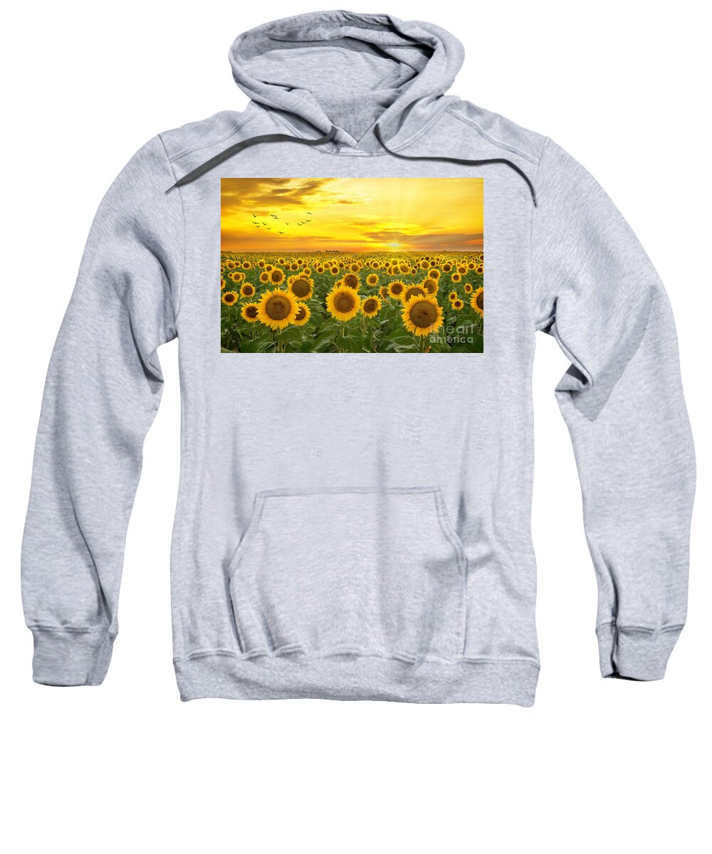 Sunflower Sweatshirt featuring the photograph Sunrays and Sunflowers by Ronda Kimbrow