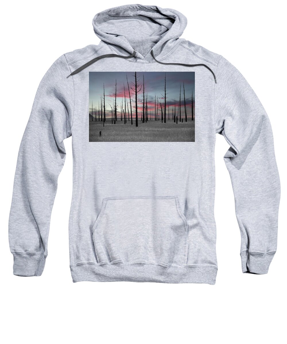 Art Sweatshirt featuring the photograph Sunset in the Cedar Swamp by Louis Dallara