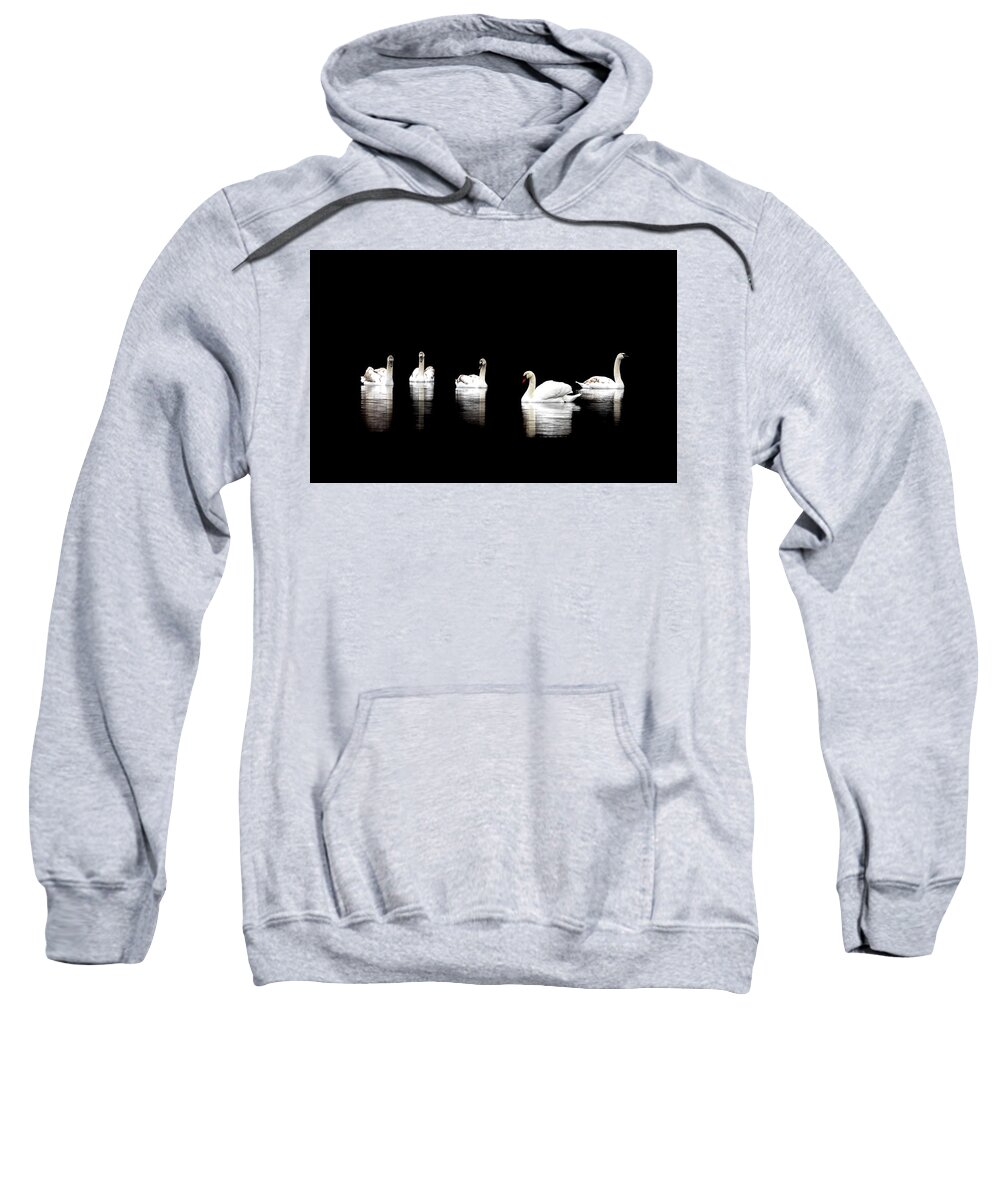 Swans Sweatshirt featuring the photograph Swan Lake by Catherine Grassello