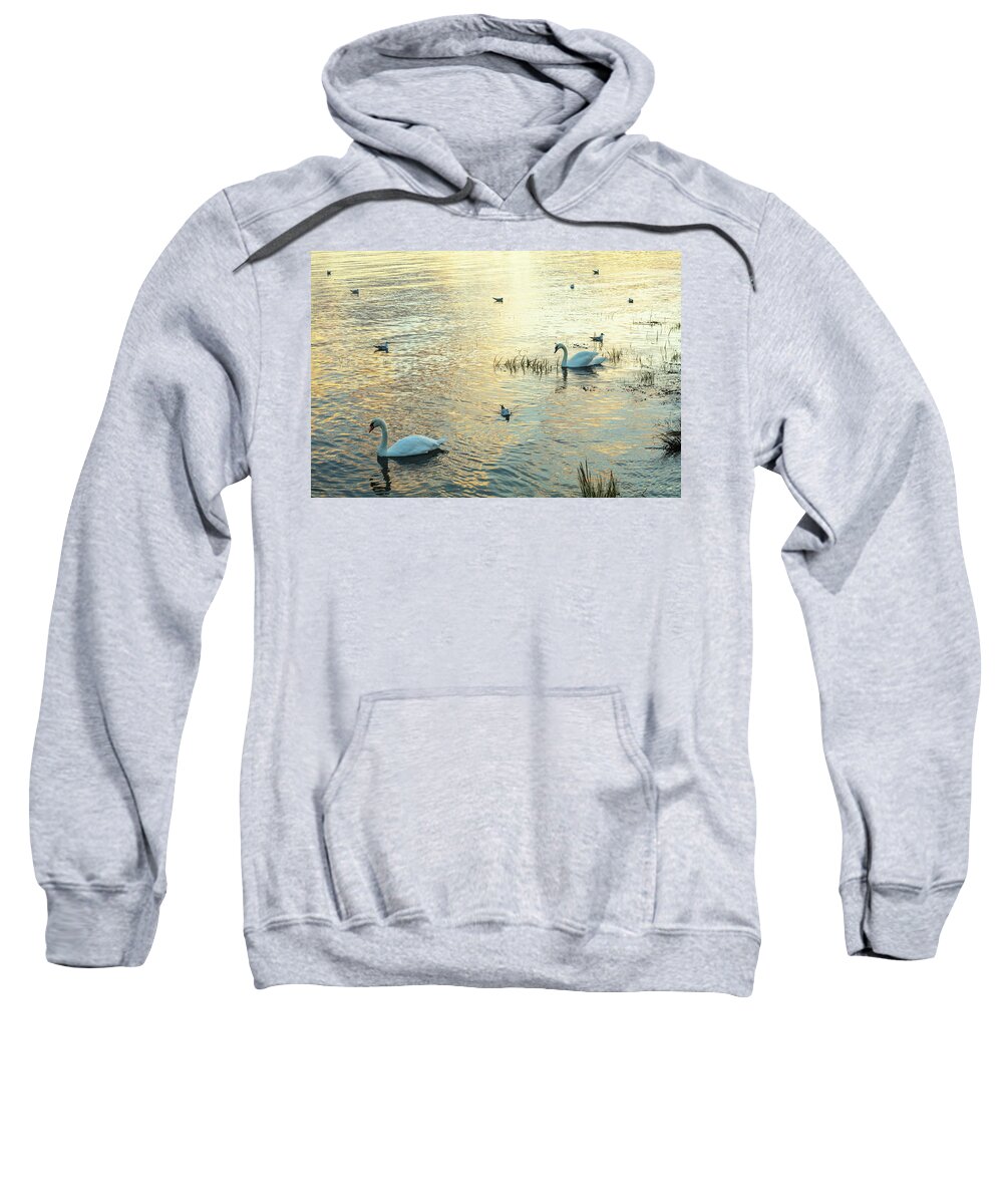 Swans Sweatshirt featuring the photograph Swans at Sunset by Ruth Crofts