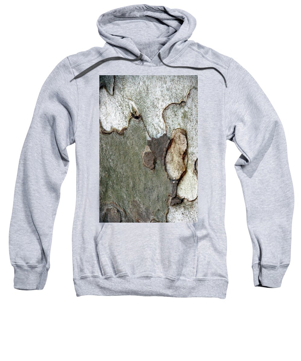 Tree Sweatshirt featuring the photograph Sycamore1806 by Carolyn Stagger Cokley