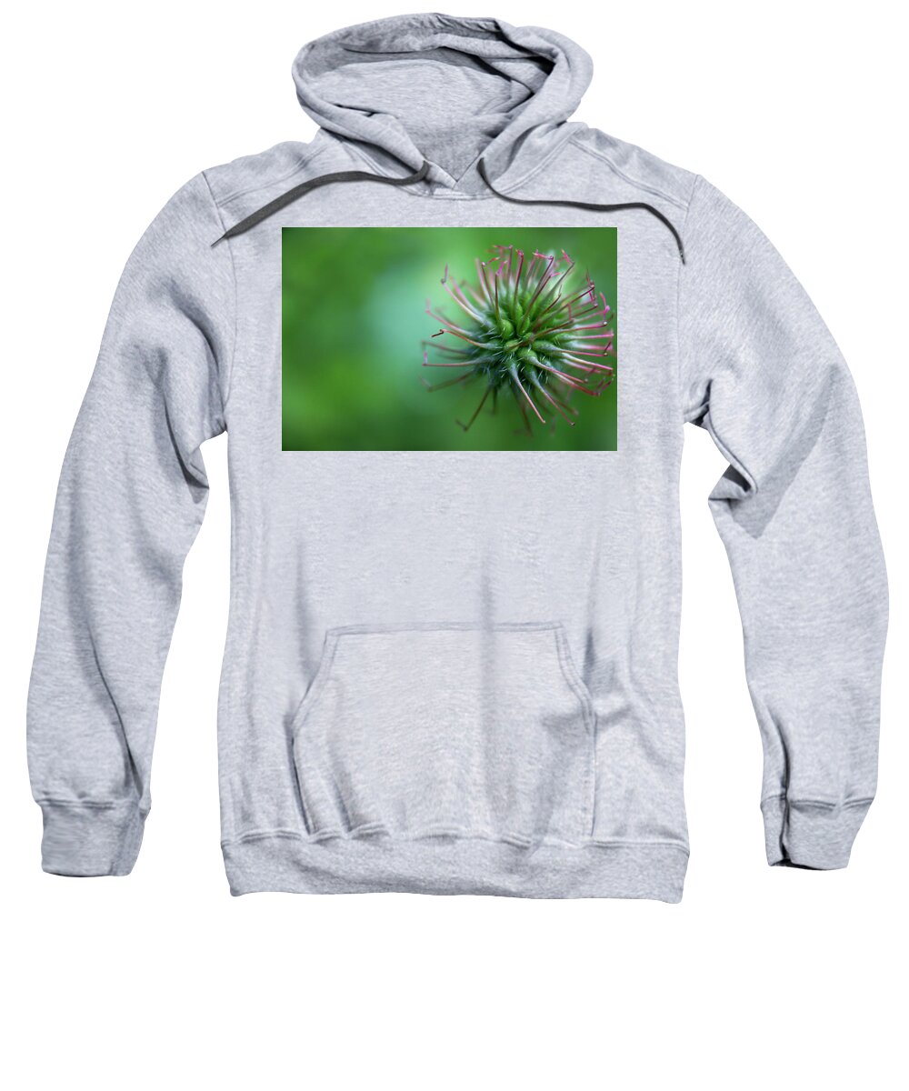 Flower Sweatshirt featuring the photograph The crown flower by MPhotographer