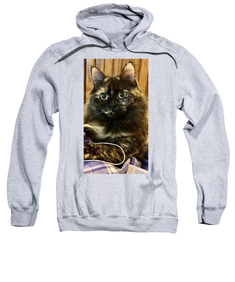 Cat Sweatshirt featuring the photograph The Eyes Have It by Lisa Pearlman