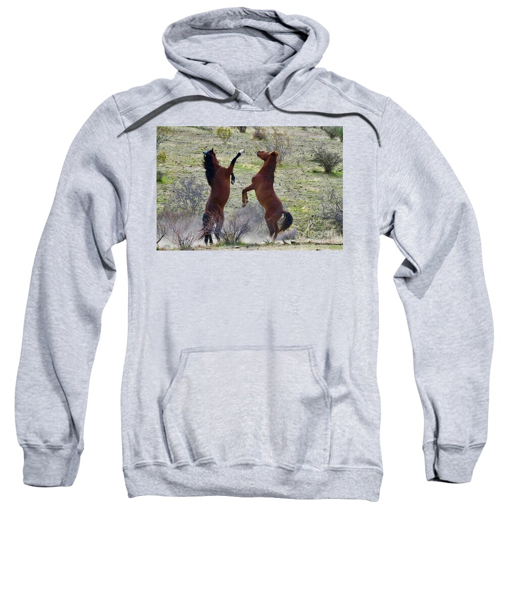 Salt River Wild Horse Sweatshirt featuring the digital art The Fight Is On by Tammy Keyes