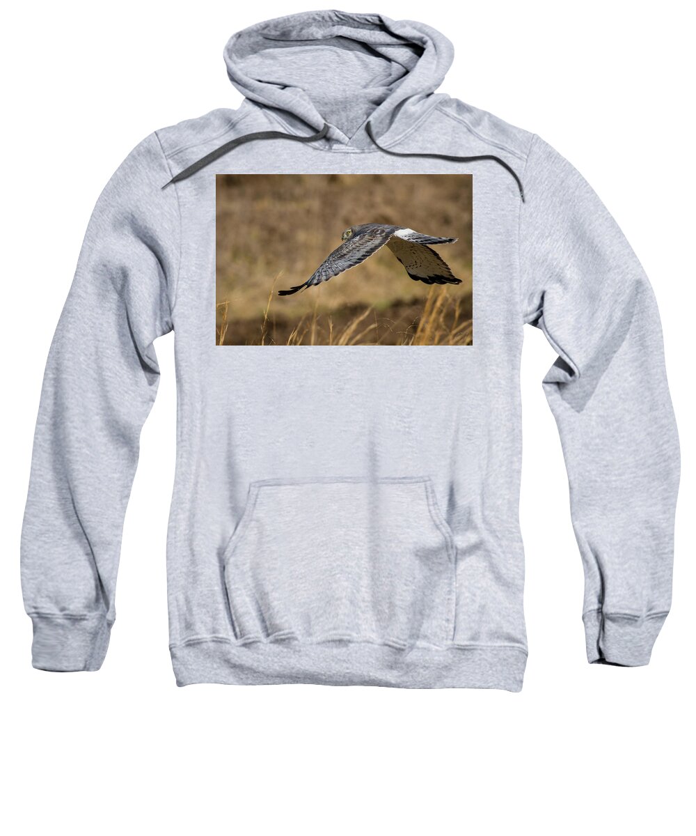 Nature Sweatshirt featuring the photograph The Grey Ghost by Linda Shannon Morgan