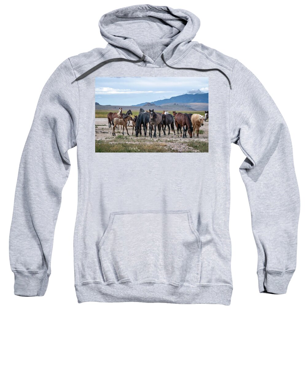Horse Sweatshirt featuring the photograph The Herd by Jeanette Mahoney