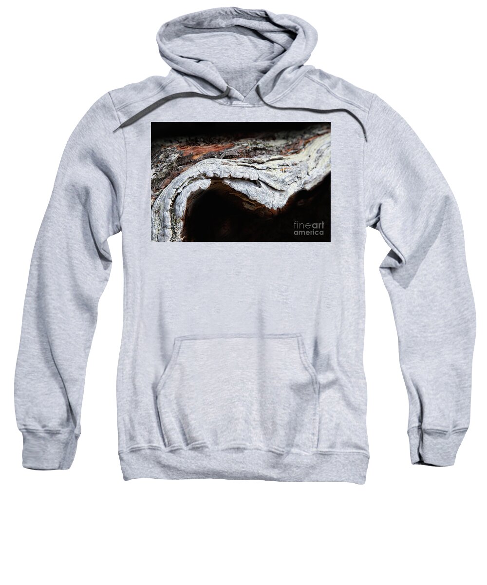 Abstracts Sweatshirt featuring the photograph The Journey by Marilyn Cornwell