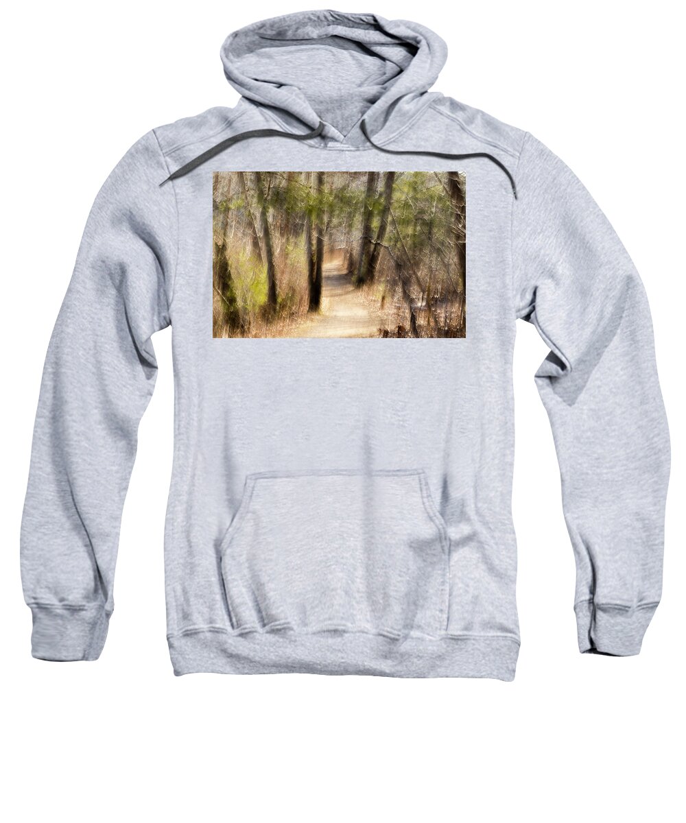 Woods Sweatshirt featuring the photograph The Path To The Ocean Lawn by Catherine Grassello