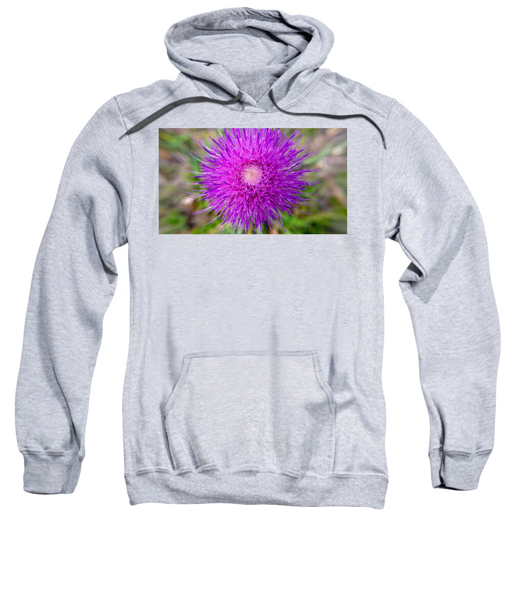 Weeds Sweatshirt featuring the photograph The Weed Becomes by Ivars Vilums