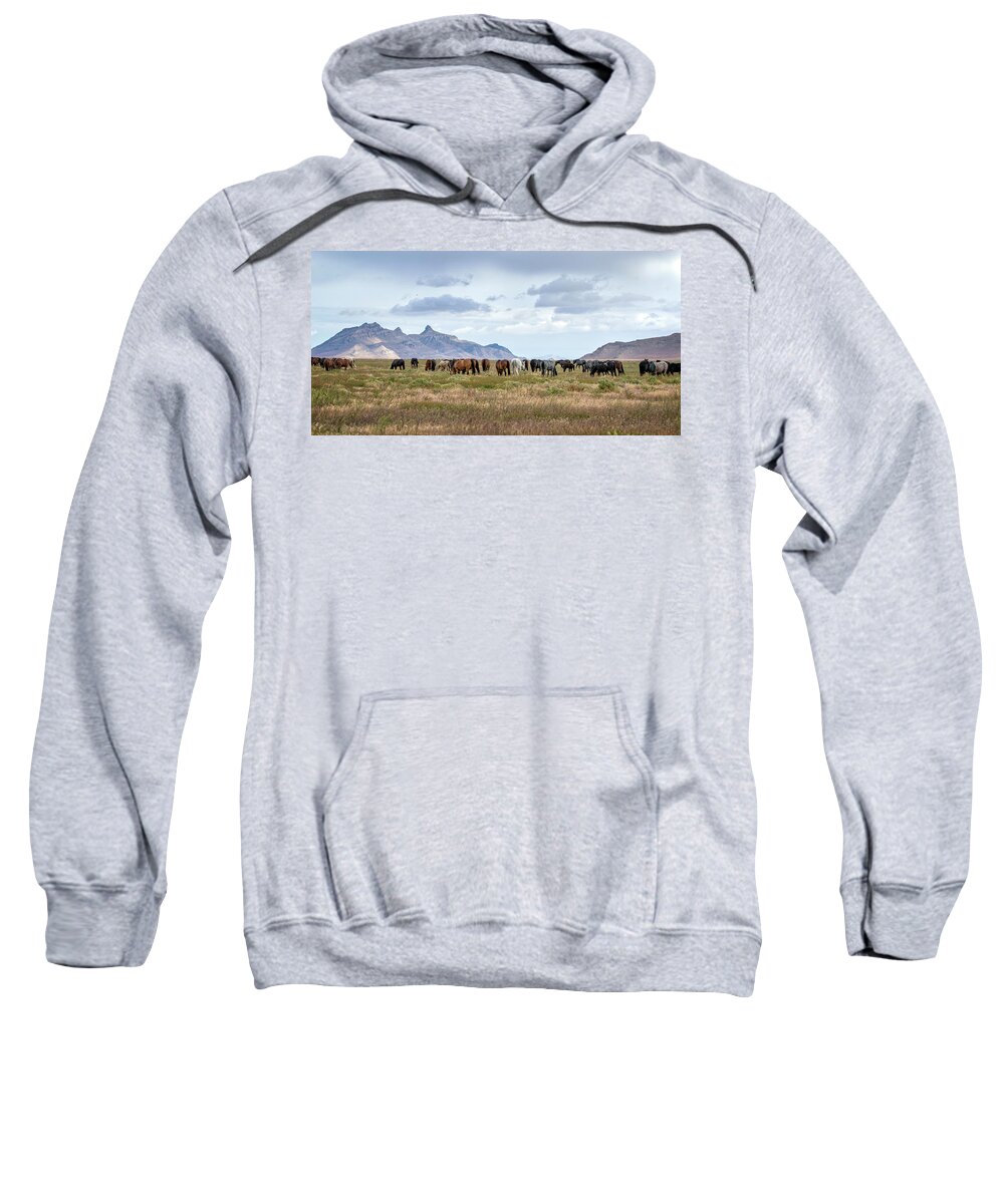 Horse Sweatshirt featuring the photograph The Wild Horses of the Onaqui Mountains, Utah by Jeanette Mahoney