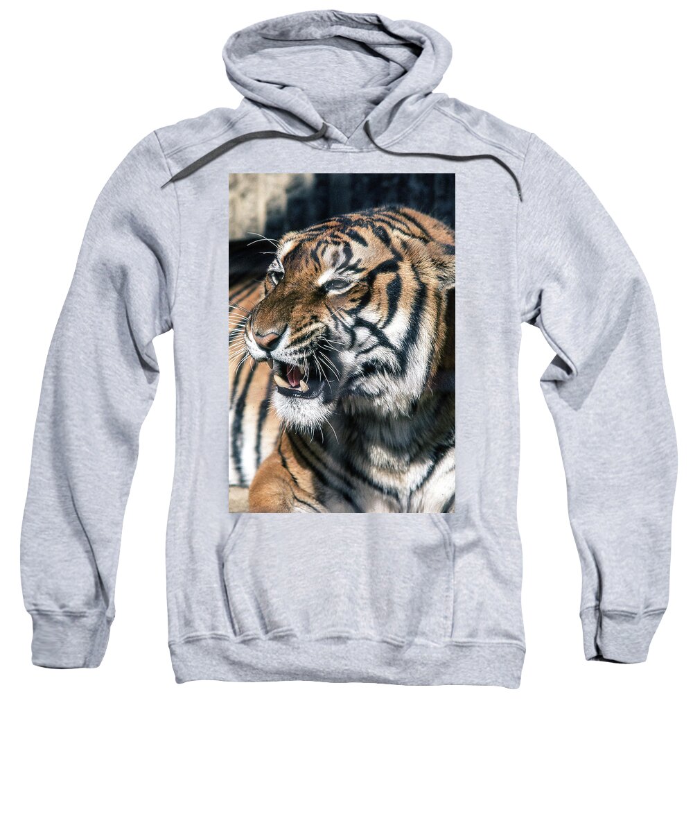 Tiger Sweatshirt featuring the photograph Tiger by Jim Mathis