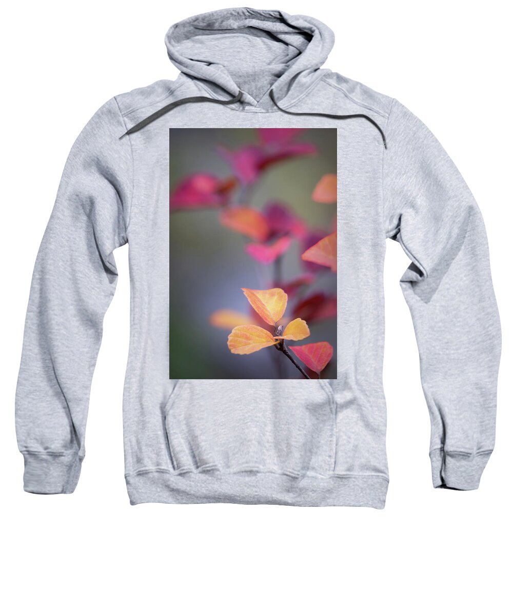 Fall Sweatshirt featuring the photograph Touches of Yellow by Lauri Novak