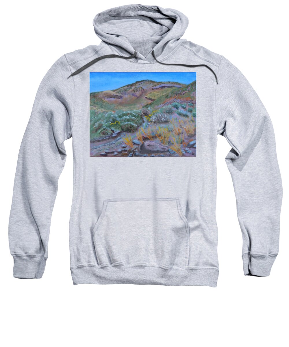 New Mexico Sweatshirt featuring the painting Trailside Wash by Mike Kling