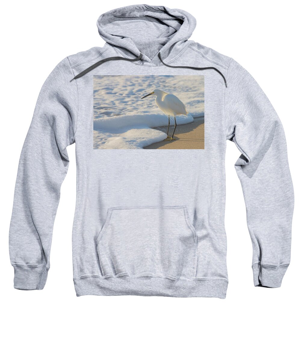 Snowy Egret Sweatshirt featuring the photograph Treasures of the Foam by RD Allen