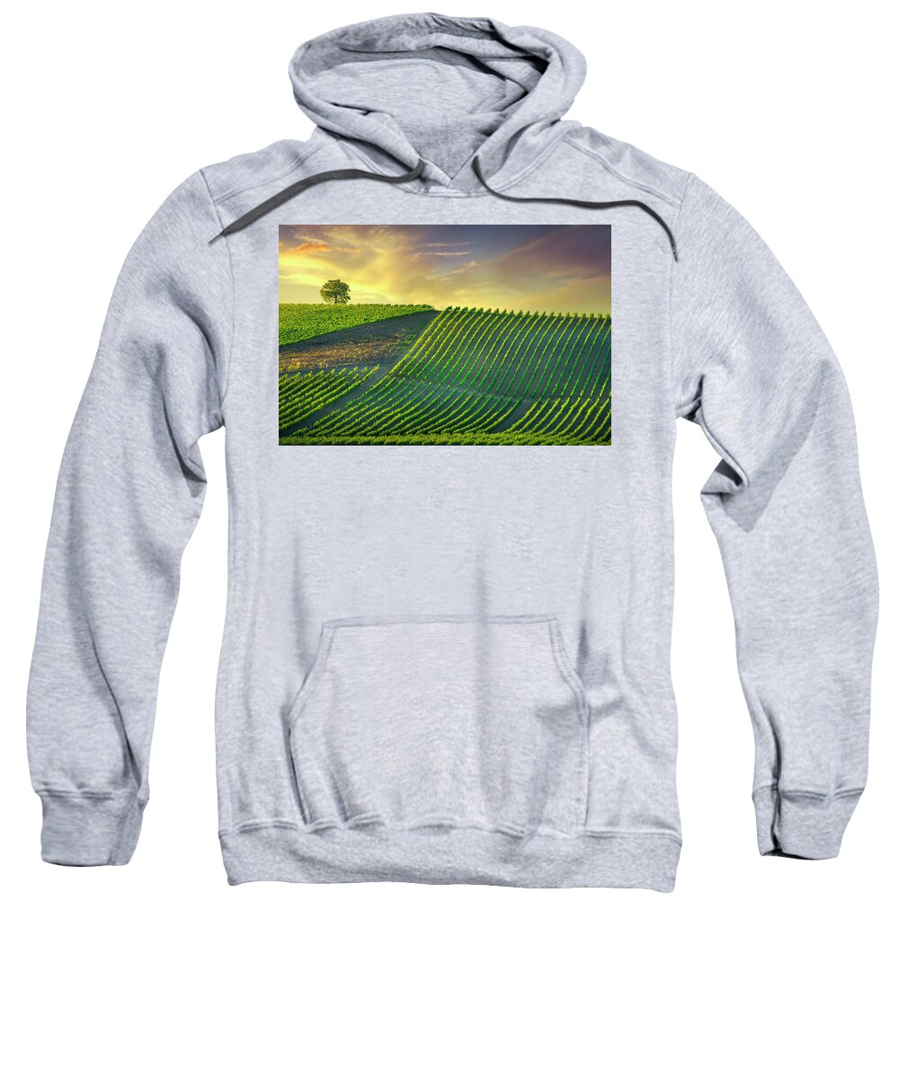 Vineyard Sweatshirt featuring the photograph Tree and Vineyards at Sunset. Castellina in Chianti by Stefano Orazzini