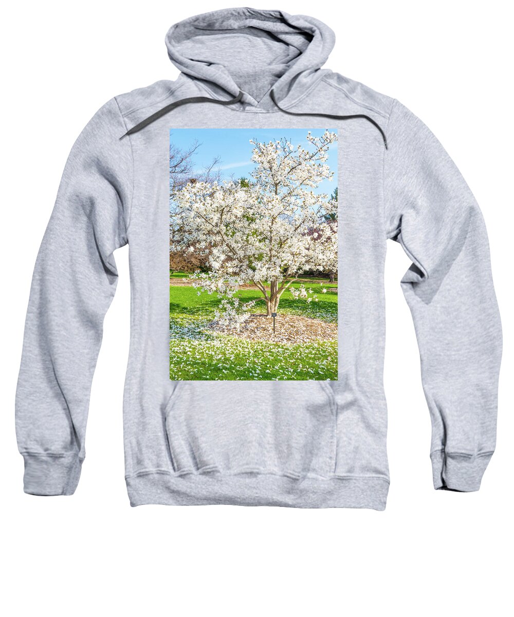 White Leaves Blooming Spring Springtime Sweatshirt featuring the photograph Tree Blooming During Springtime - Cantigny Park, Wheaton, Illinois by David Morehead