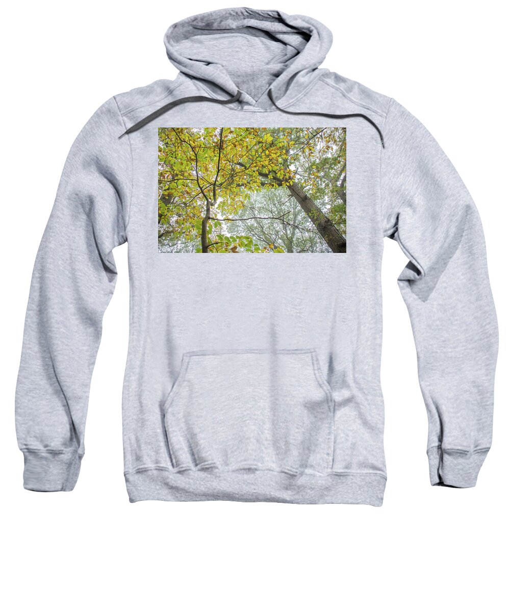 Trent Park Sweatshirt featuring the photograph Trent Park Trees Fall 10 by Edmund Peston