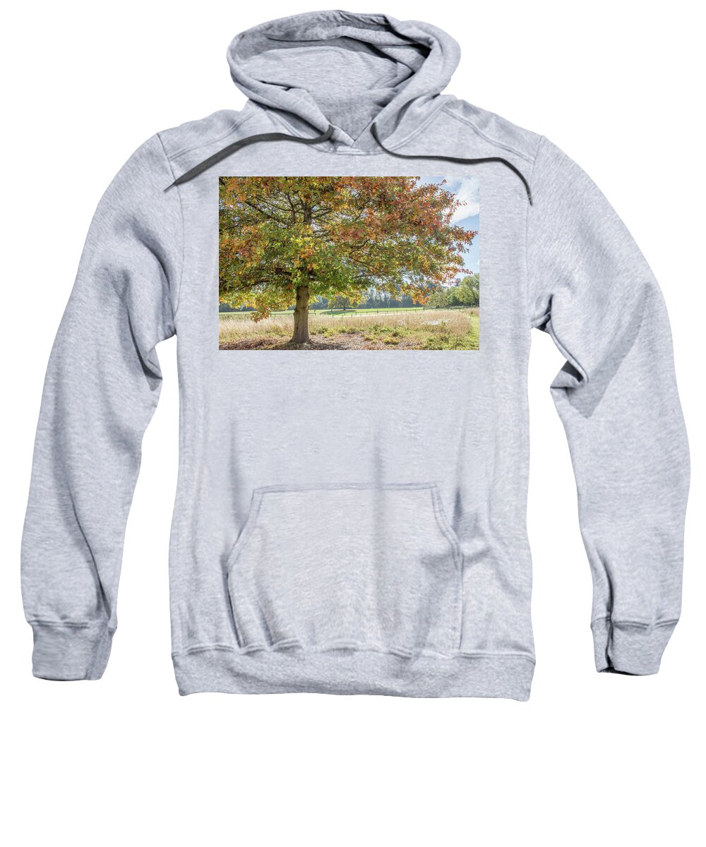 Trent Park Sweatshirt featuring the photograph Trent Park Trees Fall 18 by Edmund Peston