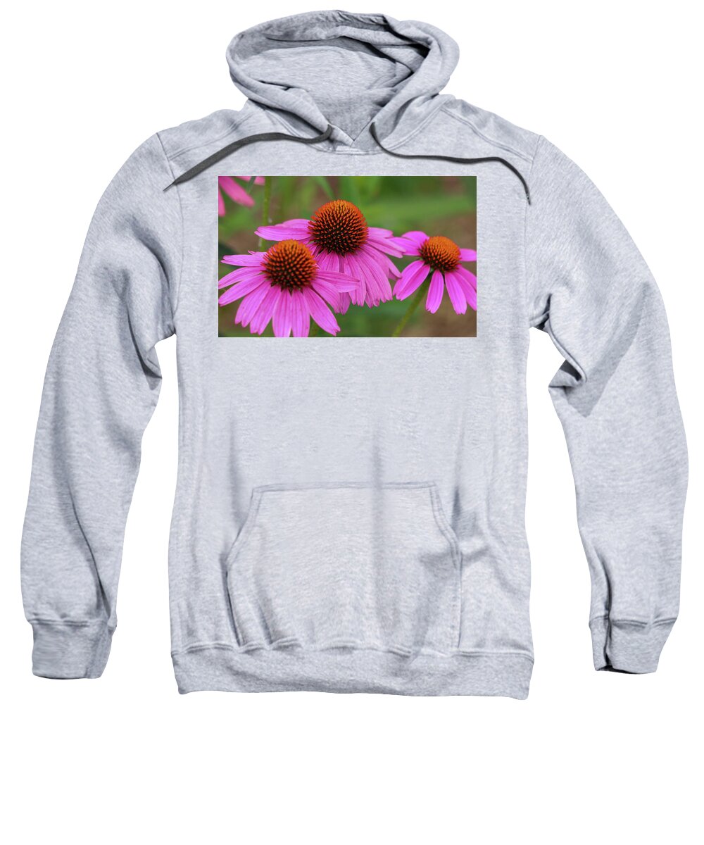 Coneflower Sweatshirt featuring the photograph Triple Threat by Mary Anne Delgado