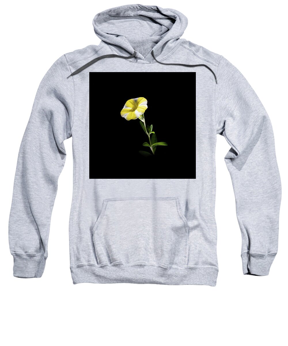 Contrast Sweatshirt featuring the photograph Trumpet Solo by Kevin Suttlehan