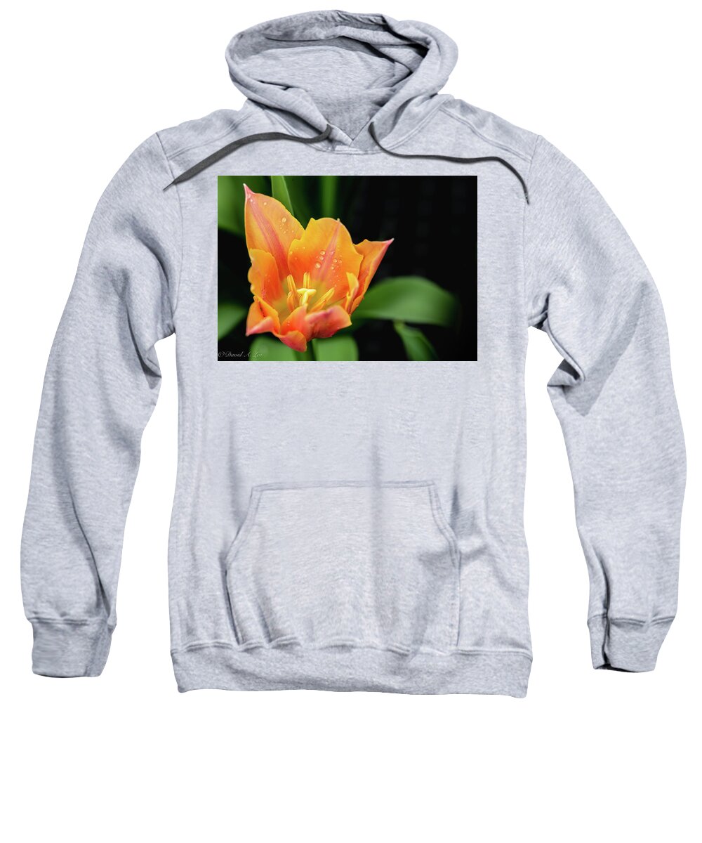 Flowers Sweatshirt featuring the photograph Tulip by David Lee