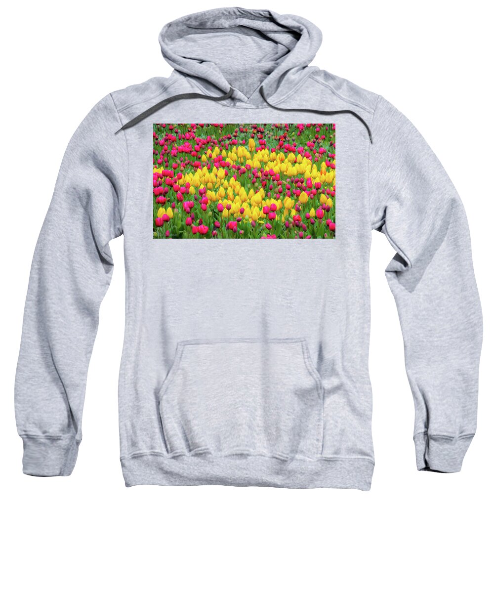 Curvilinear Sweatshirt featuring the photograph Tulips of Holland by Kathi Isserman