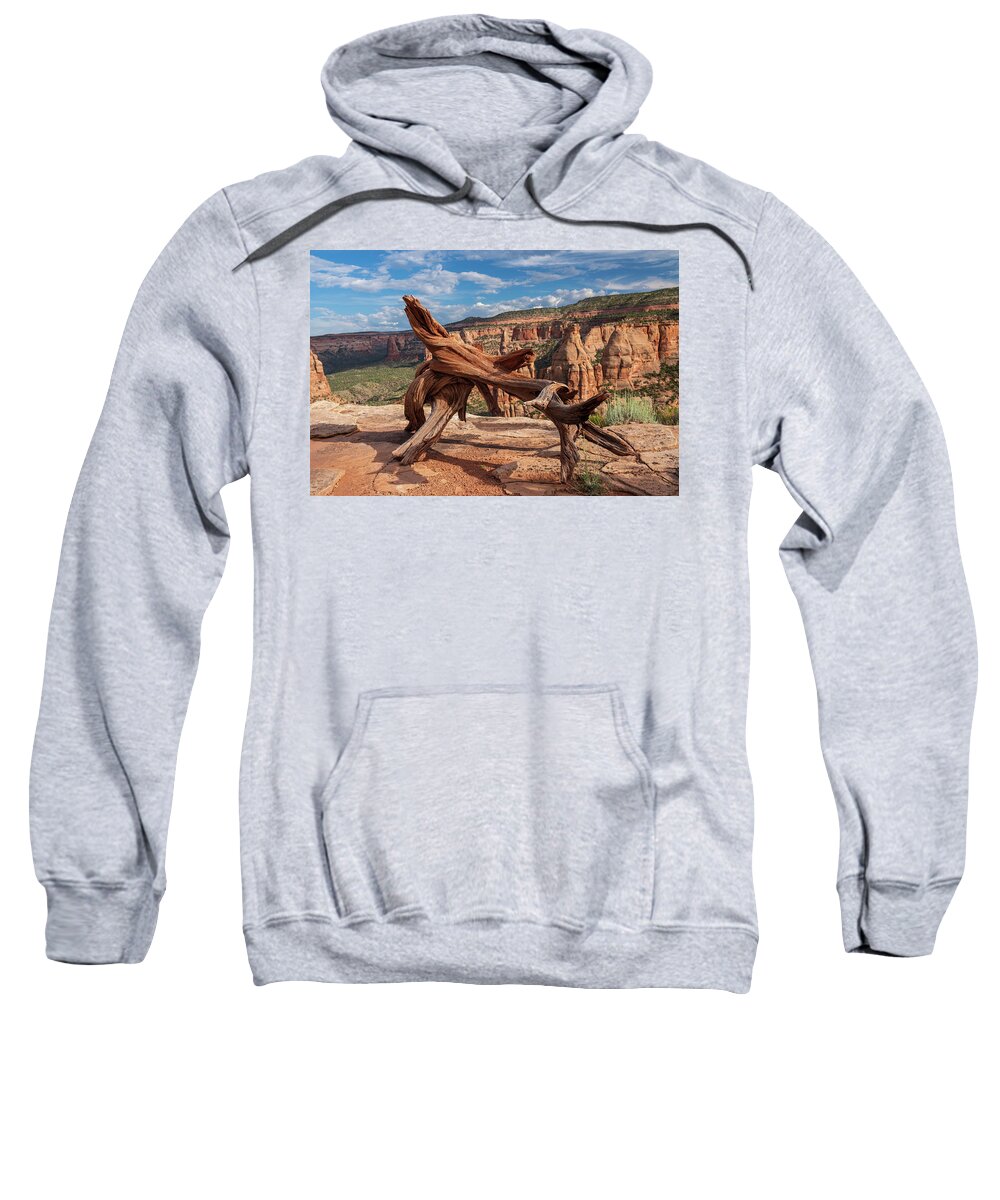 Air Sweatshirt featuring the photograph Twisted Dead treee on top of a mesa in Colorado National Monumen by Kyle Lee
