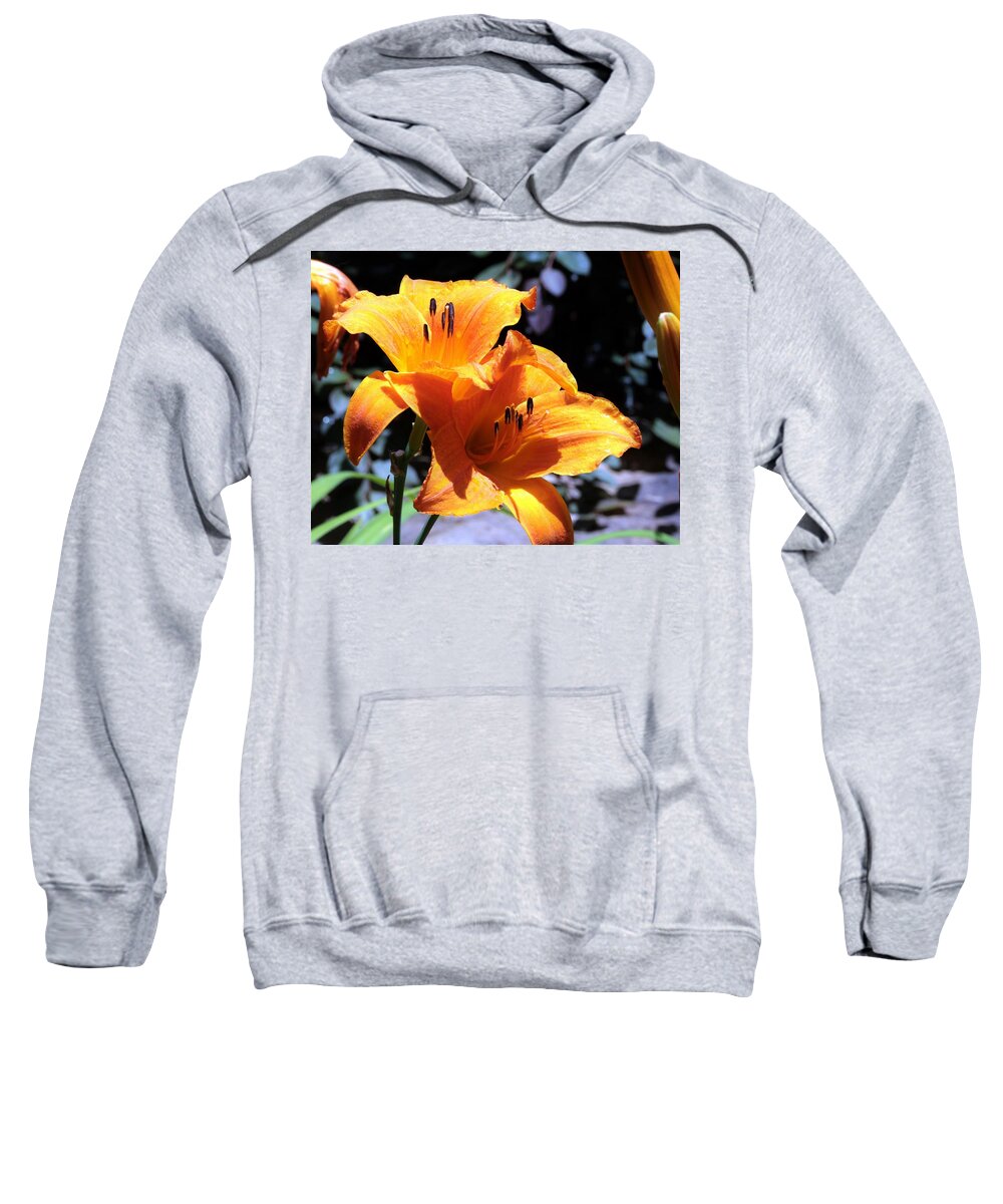 Nature Sweatshirt featuring the photograph Two Orange Day Lilies Close-up by Sheila Brown