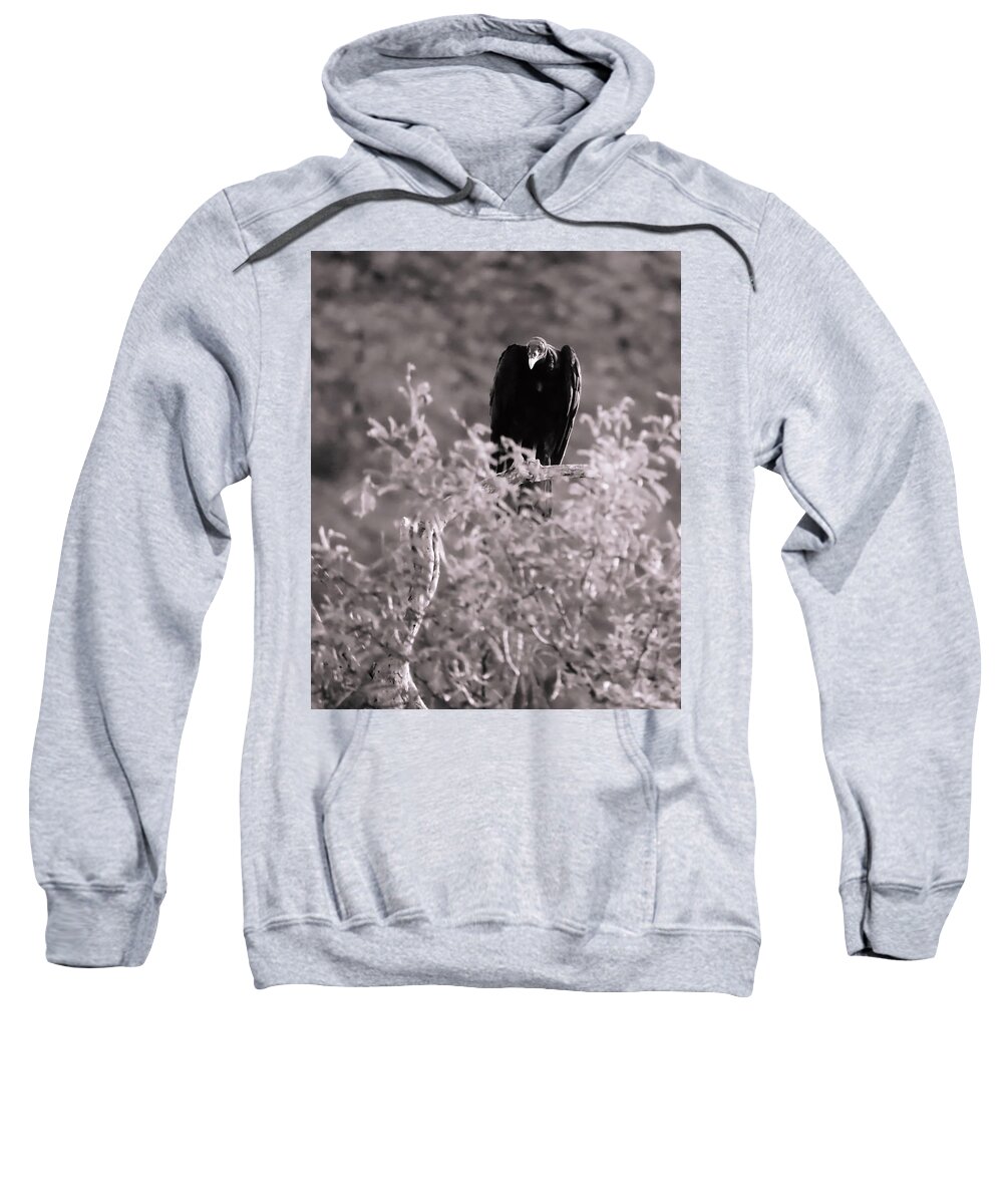 Arizona Sweatshirt featuring the photograph Vulture Duotone 1 by Judy Kennedy