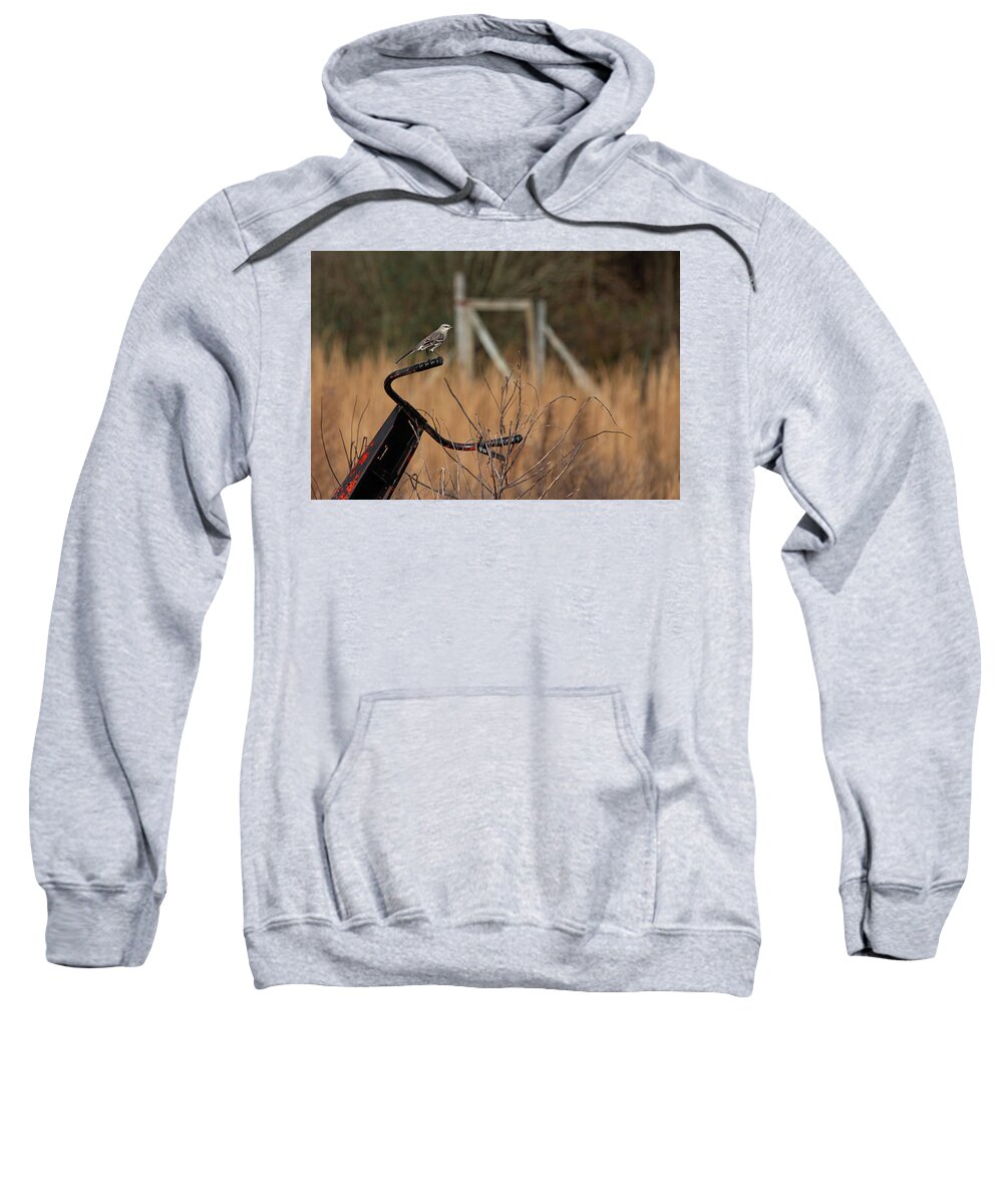Bird Sweatshirt featuring the photograph Waiting by Jamie Tyler