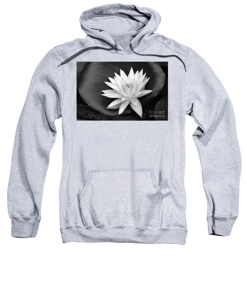 Water Lily; Water Lilies; Lily; Lilies; Flowers; Flower; Floral; Flora; White; White Water Lily; White Flowers; Photography; Black And White; Simple; Decorative; Décor; Macro; Close-up Sweatshirt featuring the photograph Water Lily 1 in Black and White by Tina Uihlein