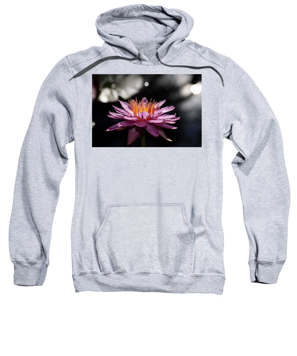 Water Lily Sweatshirt featuring the photograph Water Lily in the Spotlight by Mingming Jiang