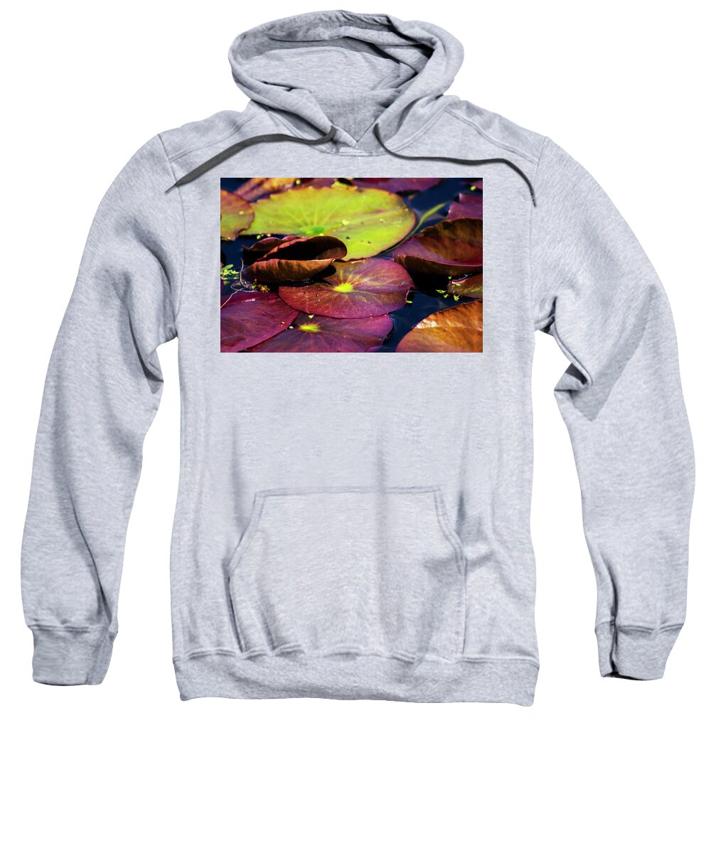 Landscape Sweatshirt featuring the photograph Water Lily Pads in Spring by Ruth Crofts Photography