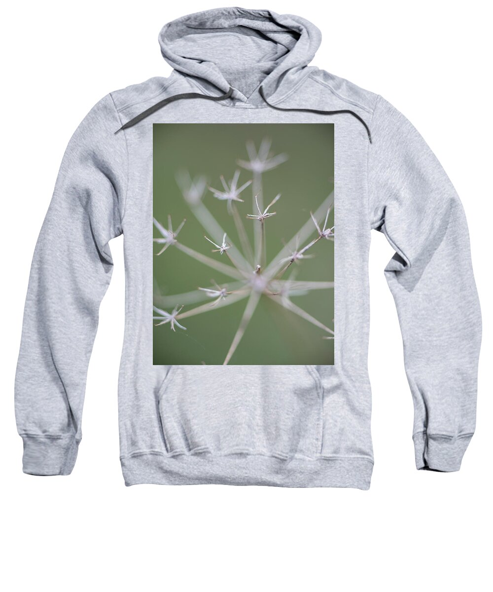 Seed Sweatshirt featuring the photograph Weed Seed Stars by Karen Rispin