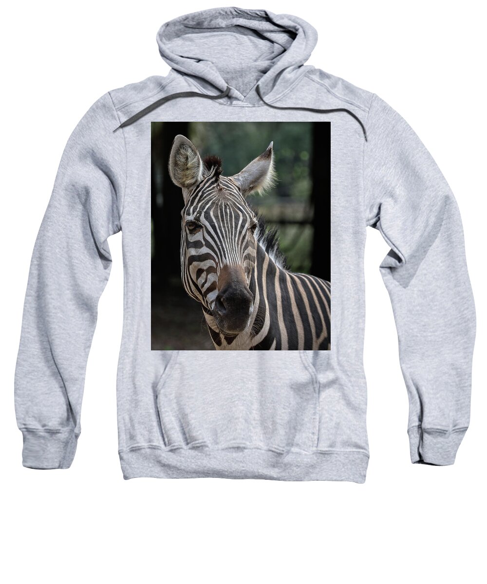 Zebra Sweatshirt featuring the photograph Whatcha lookin at by M Kathleen Warren