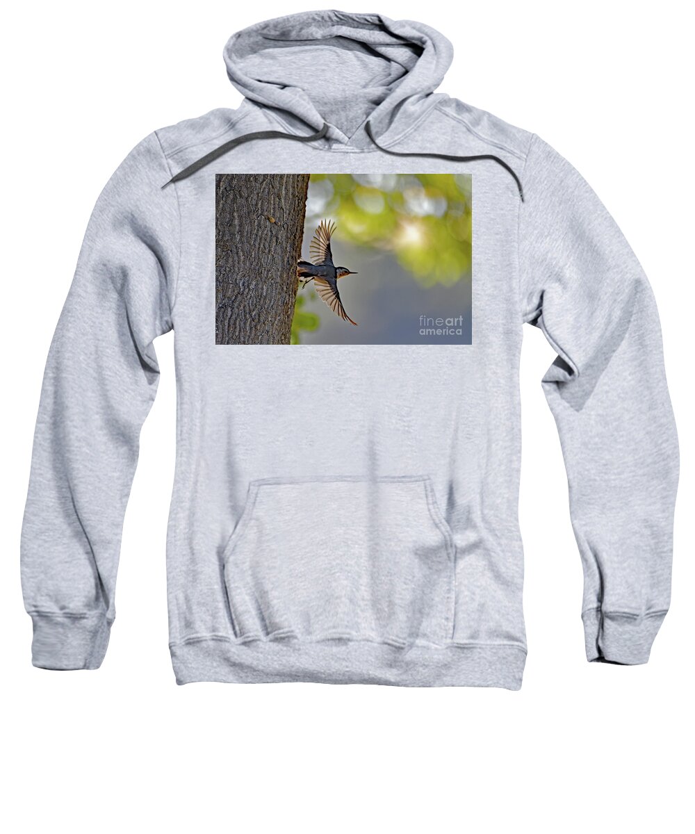 White-breasted Nuthatch Sweatshirt featuring the photograph White-breasted Nuthatch by Amazing Action Photo Video