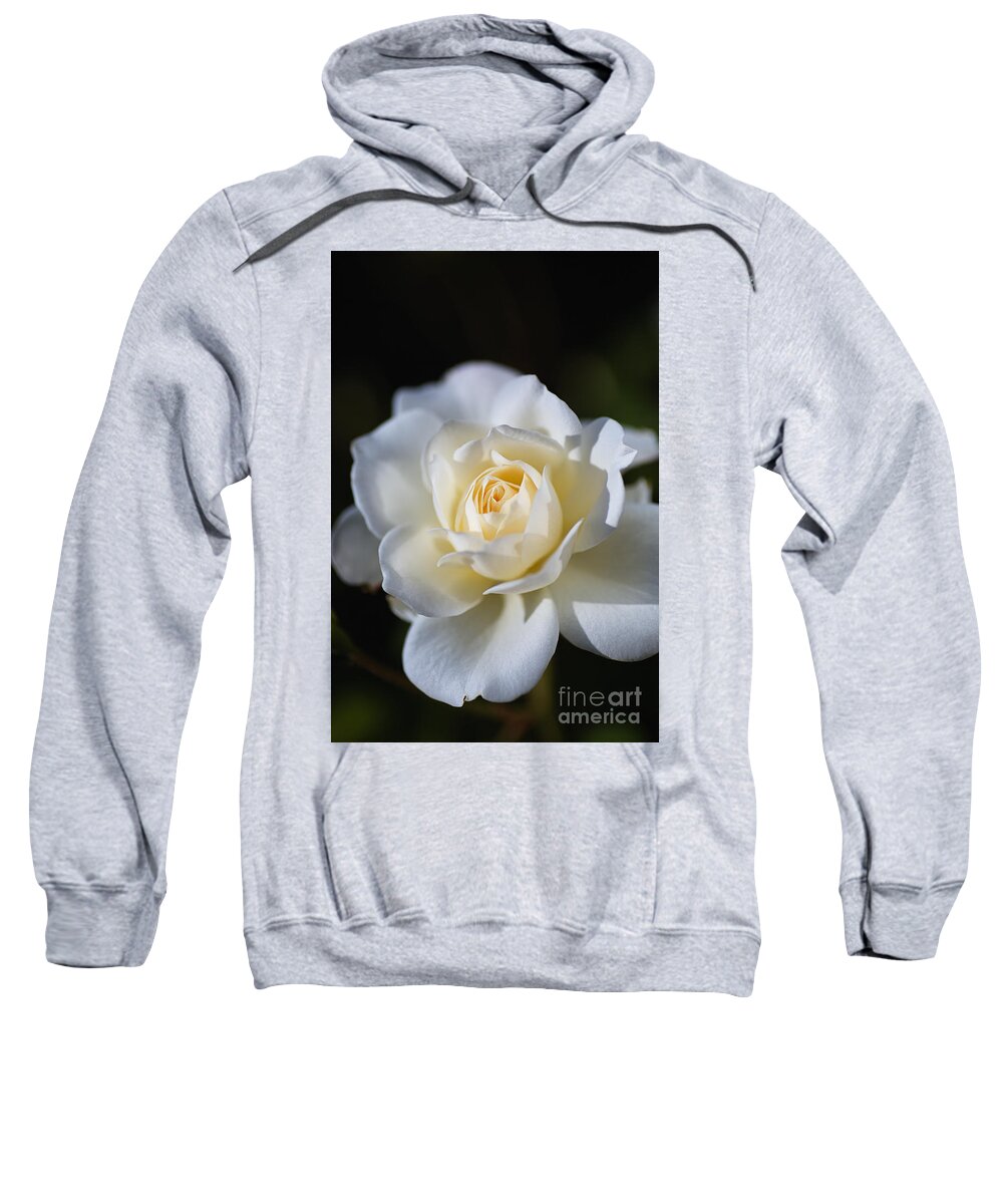 Floribunda Rose Sweatshirt featuring the photograph White Soft Rose by Joy Watson