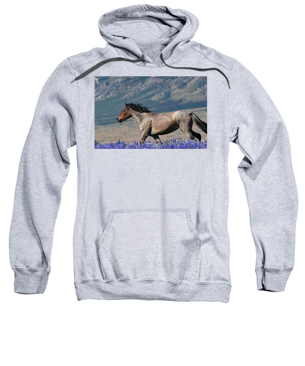 Color Image Sweatshirt featuring the photograph Wild horse by Mark Miller