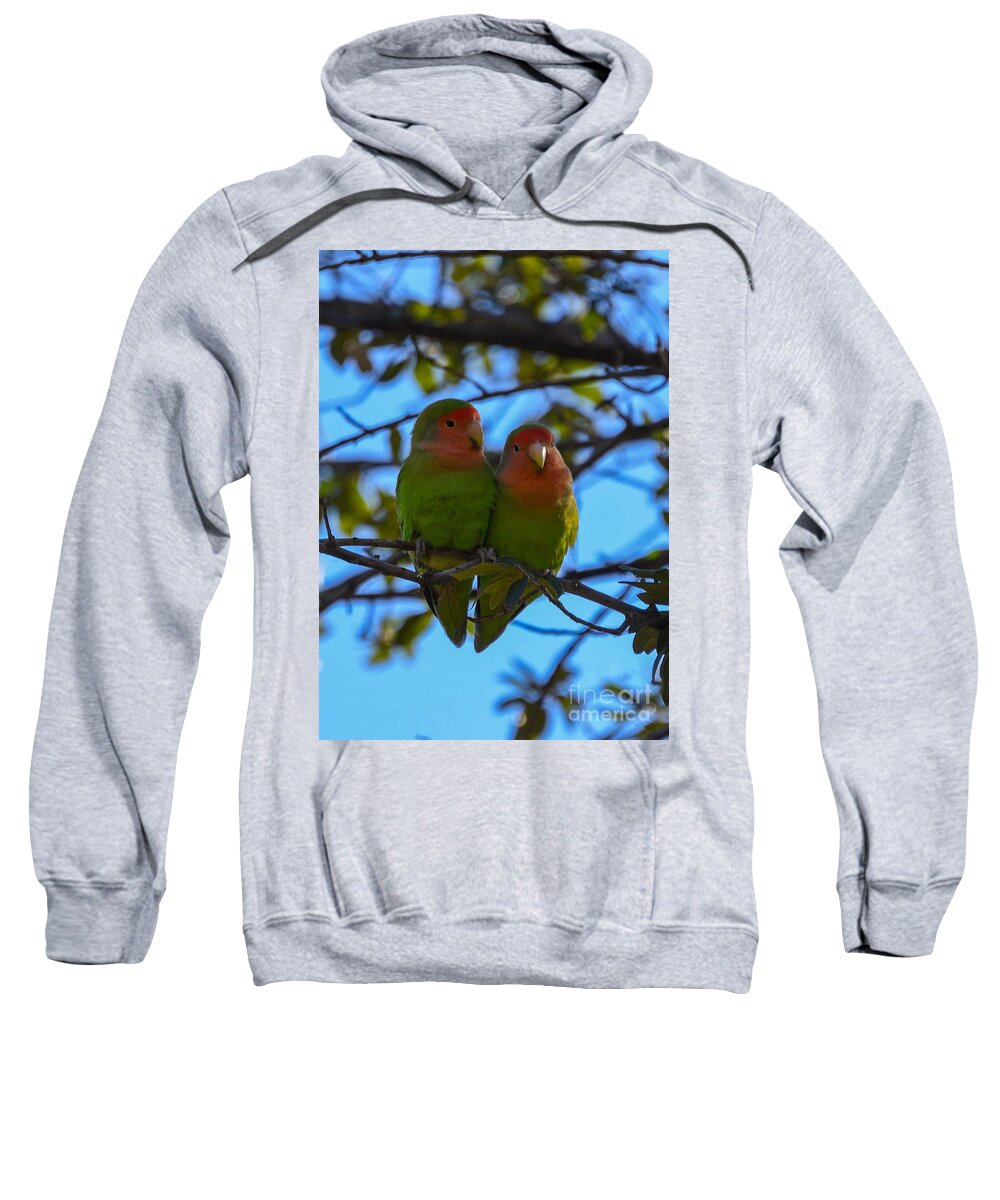 Wild Lovebirds Sweatshirt featuring the digital art Wild Lovebirds by Tammy Keyes