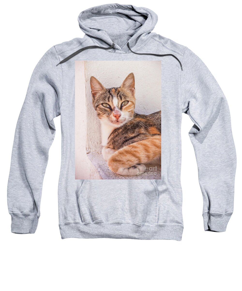 Tabby Sweatshirt featuring the photograph Wild Tabby Cat, Fira, Santorini, Greece by Neale And Judith Clark