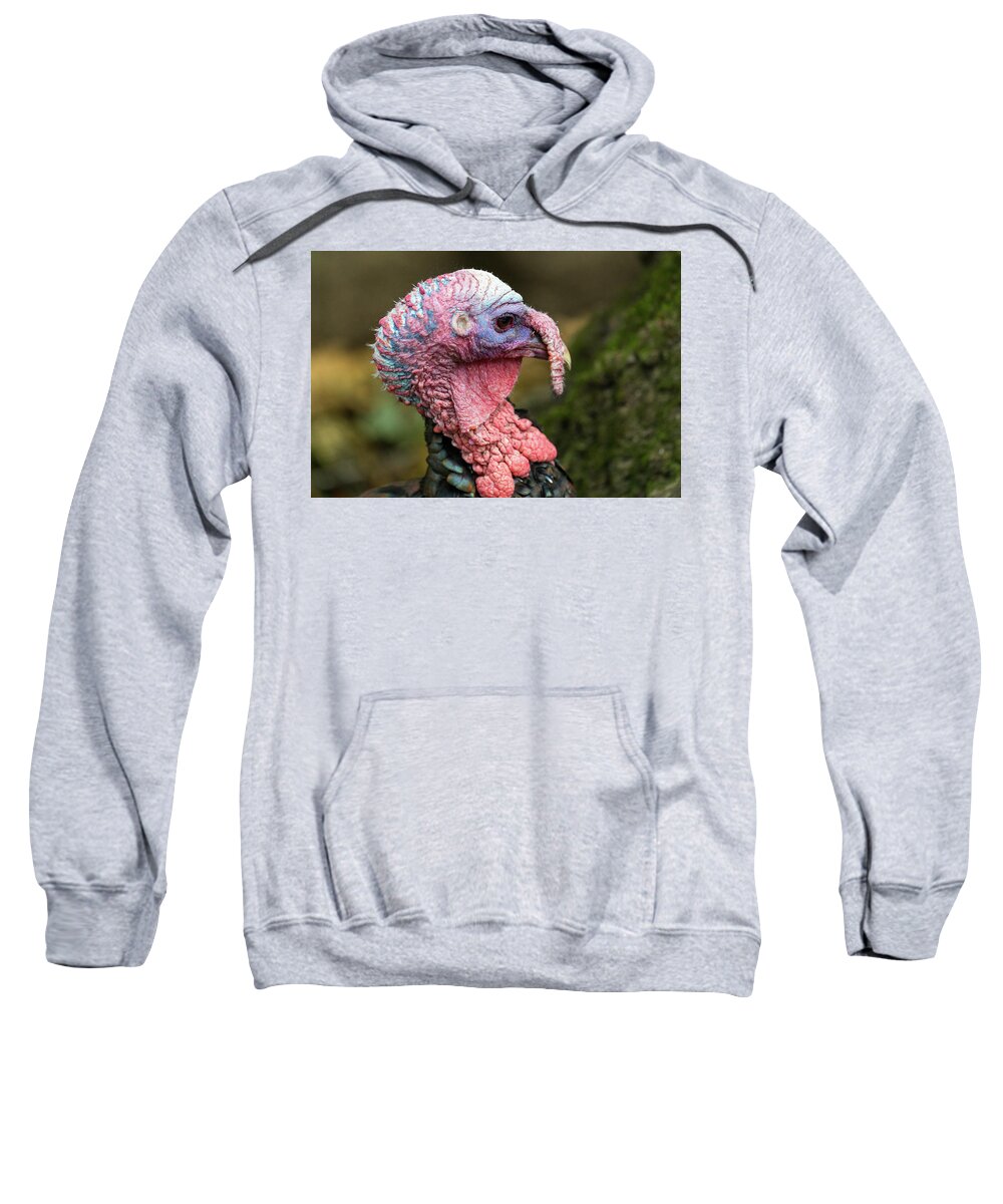 Wild Turkey Sweatshirt featuring the photograph Wild Turkey by Denise Kopko