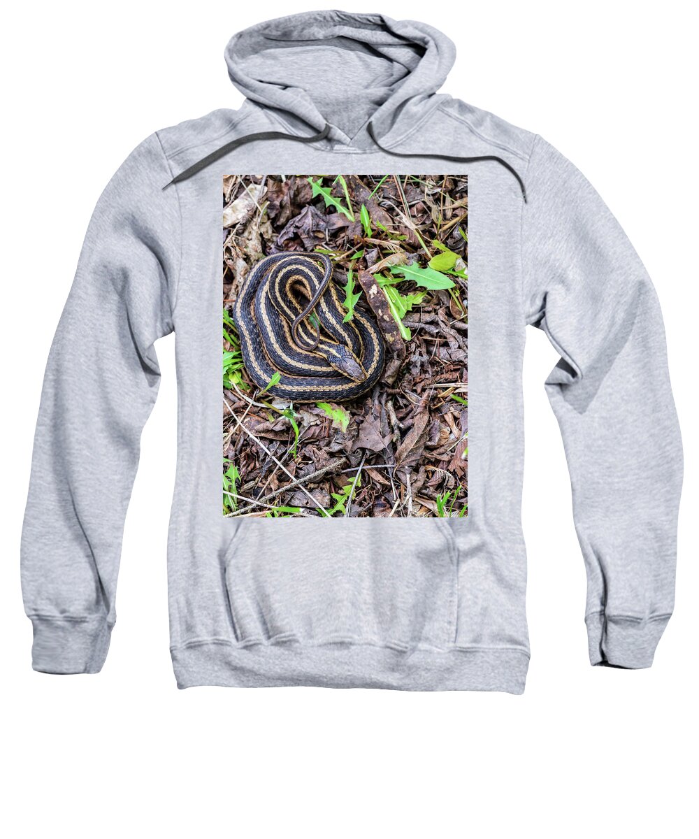 Animals Sweatshirt featuring the photograph Wildlife Photography - Snake In The Garden by Amelia Pearn