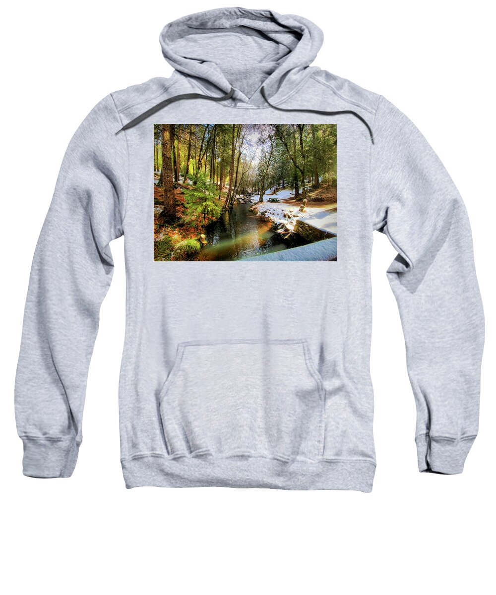 Landscape Sweatshirt featuring the photograph Winter Creek by Steph Gabler