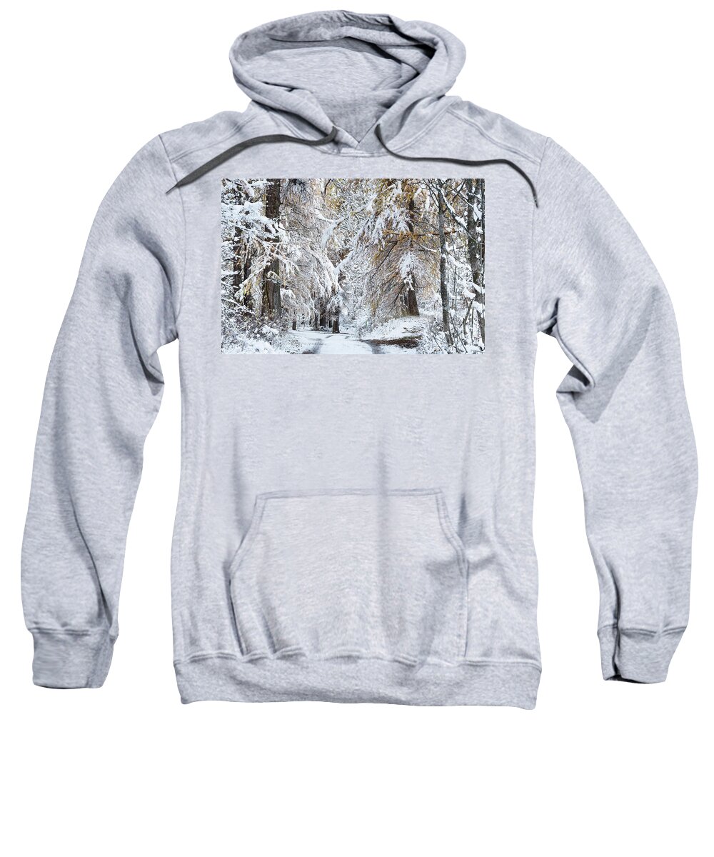 Snowy Landscape Sweatshirt featuring the photograph Winter Dreams - 7 - French Alps by Paul MAURICE
