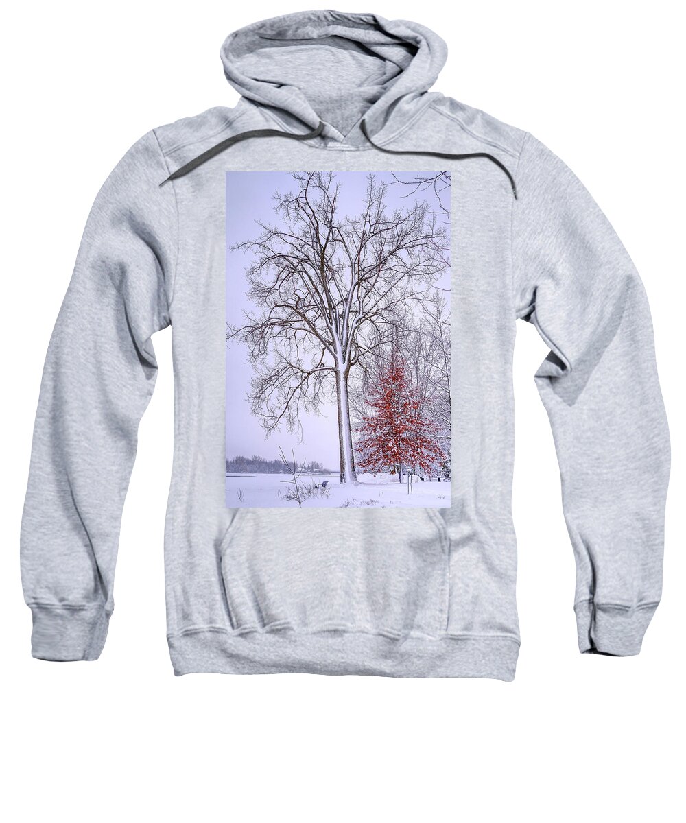 White Sweatshirt featuring the photograph Winter, i don't wanna a lose red by Carl Marceau