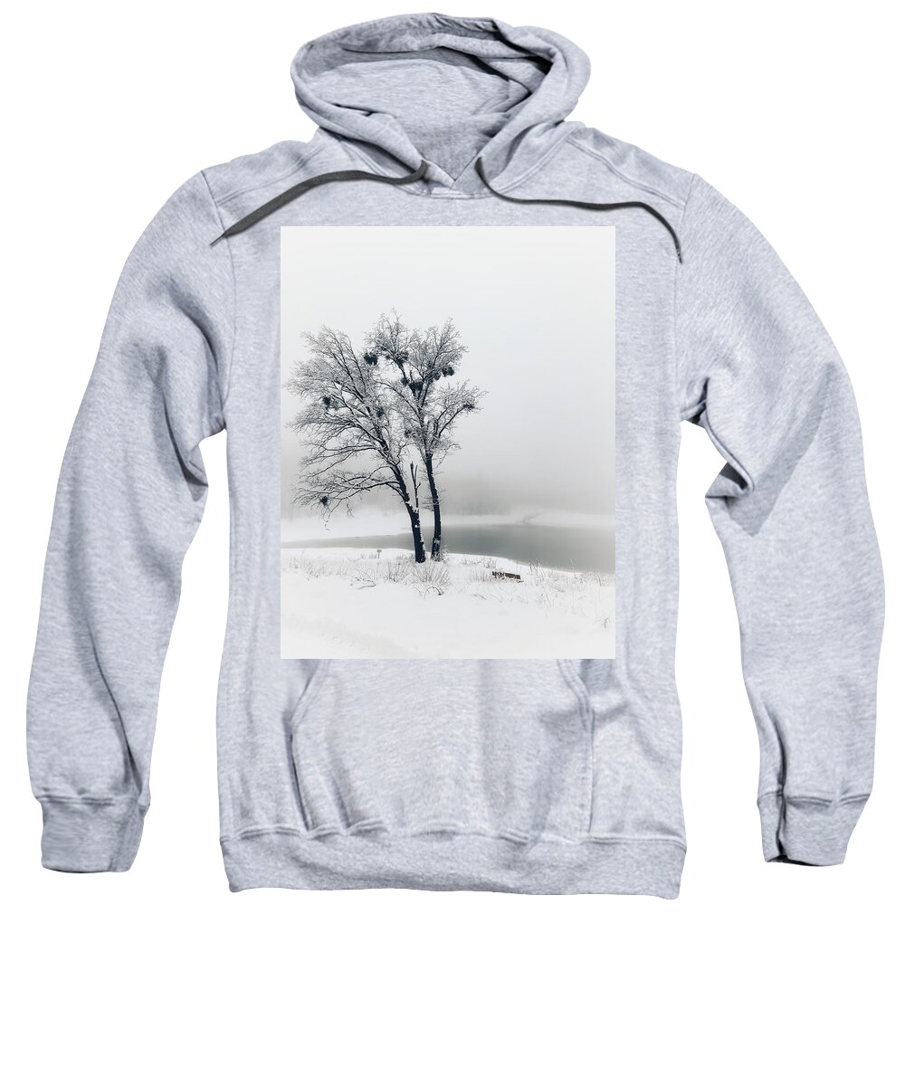 Black And White Sweatshirt featuring the photograph Winter Oak by Steph Gabler